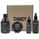 Dandy Beard Sanitizer Igienizzante spray barba e baff